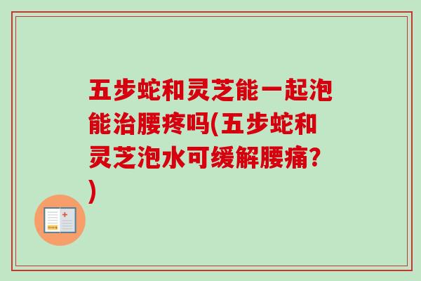 五步蛇和灵芝能一起泡能治腰疼吗(五步蛇和灵芝泡水可缓解腰痛？)