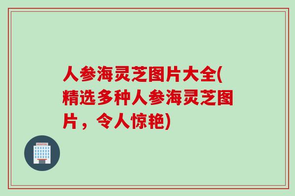 人参海灵芝图片大全(精选多种人参海灵芝图片，令人惊艳)