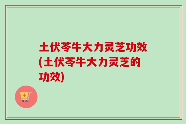 土伏苓牛大力灵芝功效(土伏苓牛大力灵芝的功效)