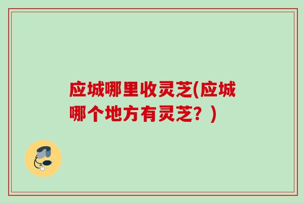 应城哪里收灵芝(应城哪个地方有灵芝？)