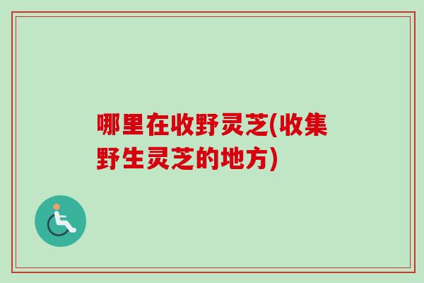 哪里在收野灵芝(收集野生灵芝的地方)
