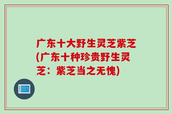 广东十大野生灵芝紫芝(广东十种珍贵野生灵芝：紫芝当之无愧)