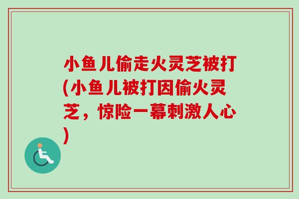 小鱼儿偷走火灵芝被打(小鱼儿被打因偷火灵芝，惊险一幕刺激人心)