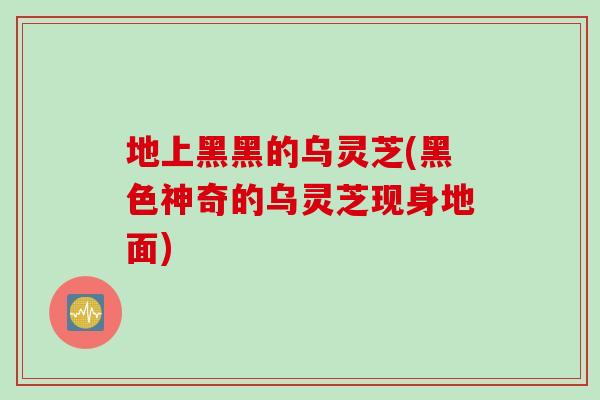 地上黑黑的乌灵芝(黑色神奇的乌灵芝现身地面)