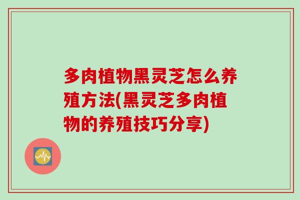 多肉植物黑灵芝怎么养殖方法(黑灵芝多肉植物的养殖技巧分享)