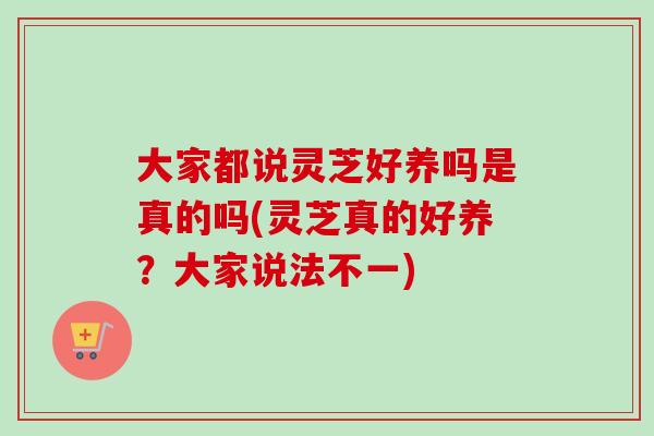 大家都说灵芝好养吗是真的吗(灵芝真的好养?大家说法不一) 大家都说灵芝好养吗是真的吗(灵芝真的好养?大家说法不一)