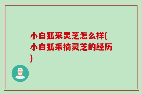 小白狐采灵芝怎么样(小白狐采摘灵芝的经历)