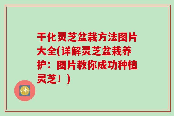 干化灵芝盆栽方法图片大全(详解灵芝盆栽养护：图片教你成功种植灵芝！)