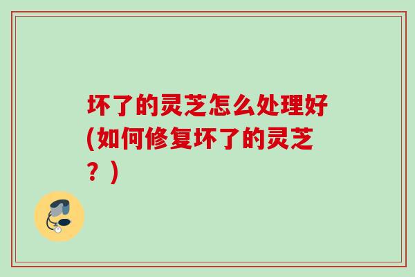 坏了的灵芝怎么处理好(如何修复坏了的灵芝？)