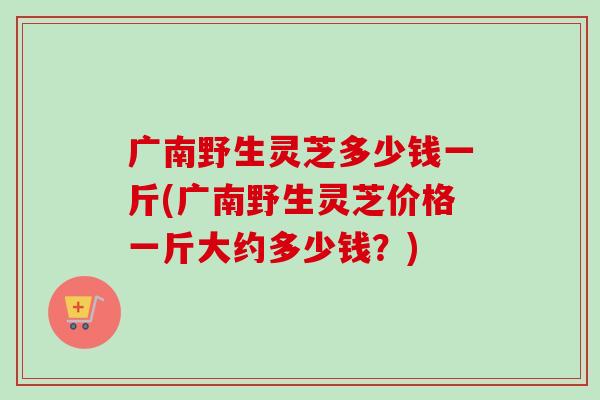 广南野生灵芝多少钱一斤(广南野生灵芝价格一斤大约多少钱？)