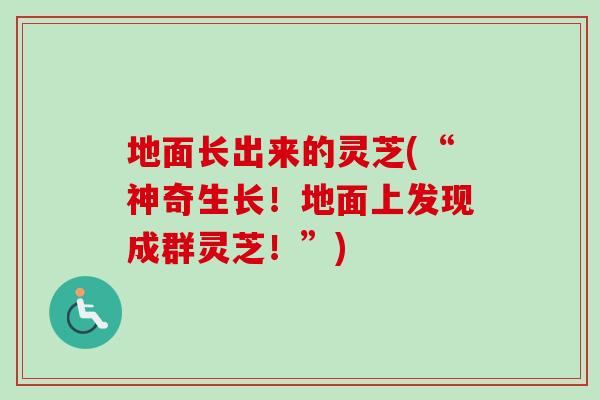 地面长出来的灵芝(“神奇生长！地面上发现成群灵芝！”)