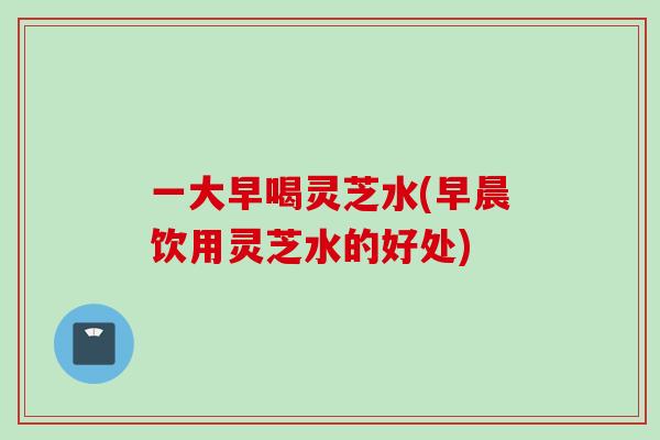 一大早喝灵芝水(早晨饮用灵芝水的好处)