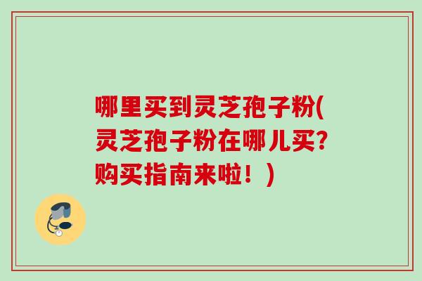 哪里买到灵芝孢子粉(灵芝孢子粉在哪儿买？购买指南来啦！)