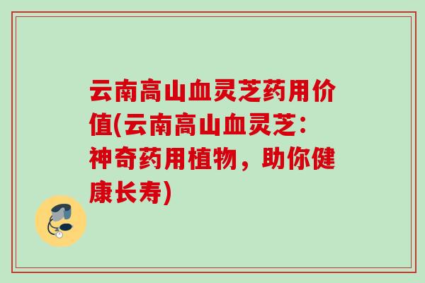 云南高山血灵芝药用价值(云南高山血灵芝：神奇药用植物，助你健康长寿)