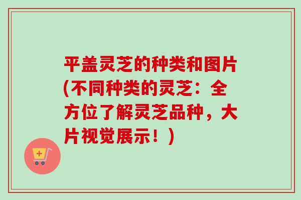 平盖灵芝的种类和图片(不同种类的灵芝:全方位了解灵芝品种,大片视觉展示!) 平盖灵芝的种类和图片(不同种类的灵芝:全方位了解灵芝品种,大片视觉展示!)