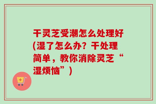 干灵芝受潮怎么处理好(湿了怎么办？干处理简单，教你消除灵芝“湿烦恼”)