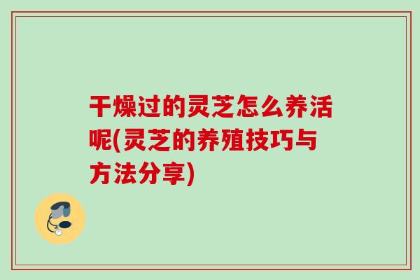 干燥过的灵芝怎么养活呢(灵芝的养殖技巧与方法分享)