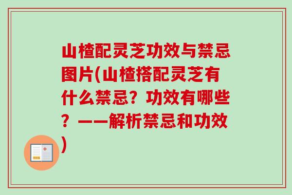 山楂配灵芝功效与禁忌图片(山楂搭配灵芝有什么禁忌？功效有哪些？——解析禁忌和功效)