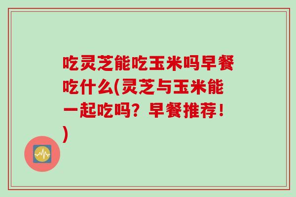 吃灵芝能吃玉米吗早餐吃什么(灵芝与玉米能一起吃吗？早餐推荐！)