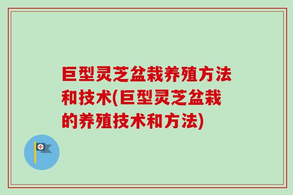 巨型灵芝盆栽养殖方法和技术(巨型灵芝盆栽的养殖技术和方法)