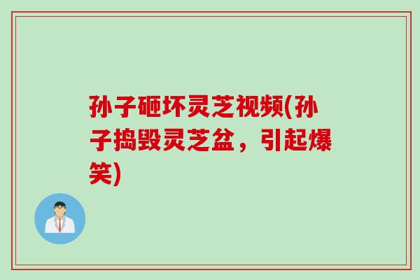 孙子砸坏灵芝视频(孙子捣毁灵芝盆，引起爆笑)