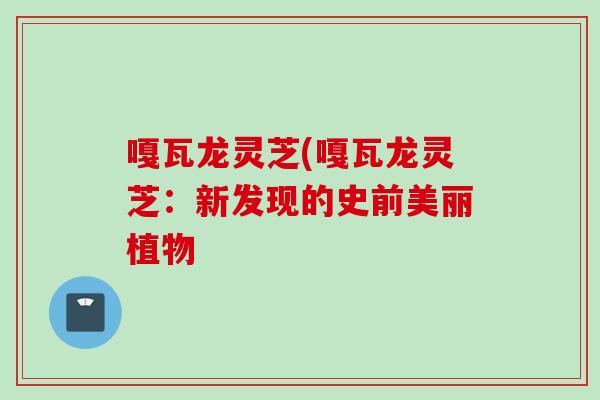 嘎瓦龙灵芝(嘎瓦龙灵芝：新发现的史前美丽植物