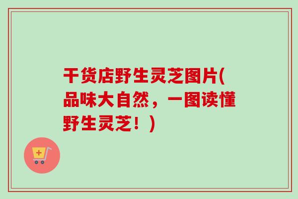 干货店野生灵芝图片(品味大自然，一图读懂野生灵芝！)