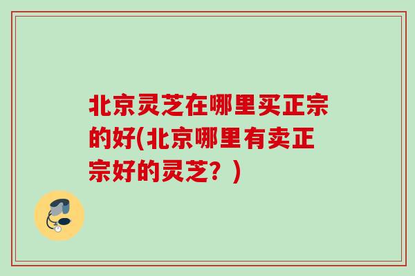 北京灵芝在哪里买正宗的好(北京哪里有卖正宗好的灵芝？)