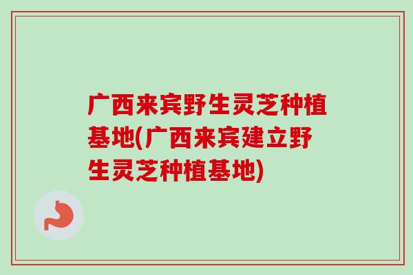 广西来宾野生灵芝种植基地(广西来宾建立野生灵芝种植基地)