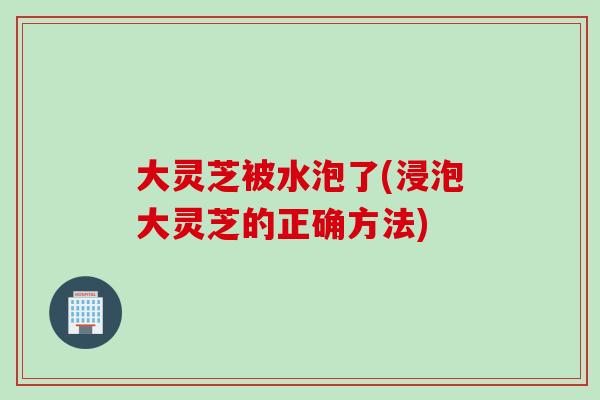 大灵芝被水泡了(浸泡大灵芝的正确方法)