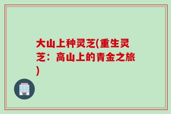 大山上种灵芝(重生灵芝：高山上的青金之旅)