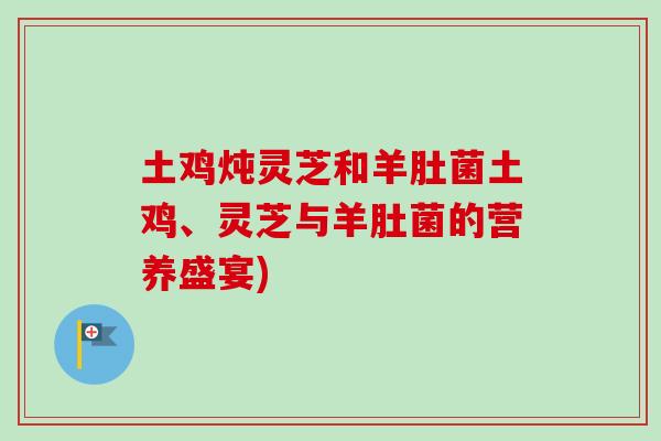土鸡炖灵芝和羊肚菌土鸡、灵芝与羊肚菌的营养盛宴)