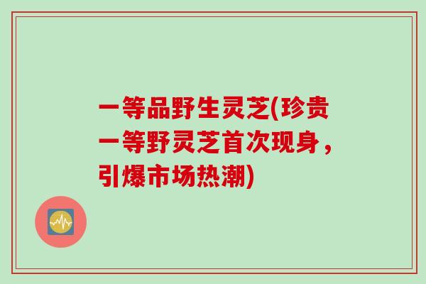一等品野生灵芝(珍贵一等野灵芝首次现身，引爆市场热潮)
