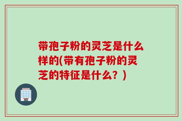 带孢子粉的灵芝是什么样的(带有孢子粉的灵芝的特征是什么？)