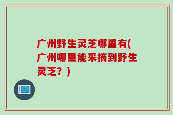 广州野生灵芝哪里有(广州哪里能采摘到野生灵芝？)