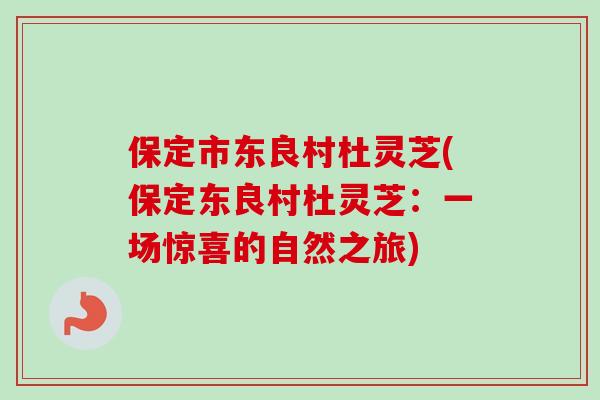保定市东良村杜灵芝(保定东良村杜灵芝：一场惊喜的自然之旅)