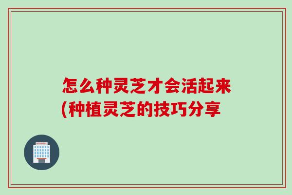 怎么种灵芝才会活起来(种植灵芝的技巧分享