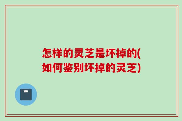怎样的灵芝是坏掉的(如何鉴别坏掉的灵芝) 怎样的灵芝是坏掉的(如何鉴别坏掉的灵芝)