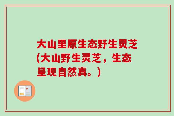 大山里原生态野生灵芝(大山野生灵芝，生态呈现自然真。)