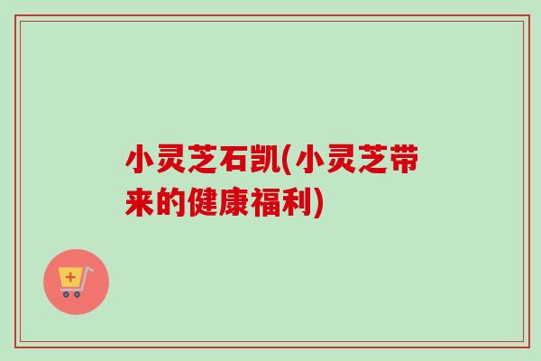 小灵芝石凯(小灵芝带来的健康福利)