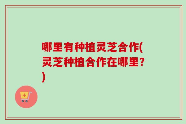 哪里有种植灵芝合作(灵芝种植合作在哪里？)