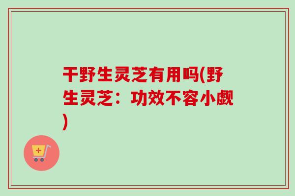 干野生灵芝有用吗(野生灵芝：功效不容小觑)