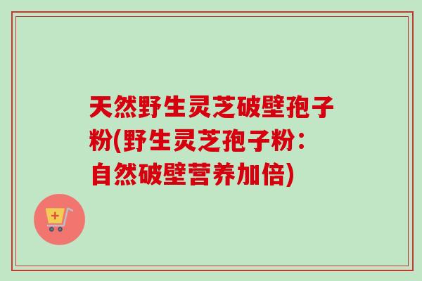 天然野生灵芝破壁孢子粉(野生灵芝孢子粉：自然破壁营养加倍)