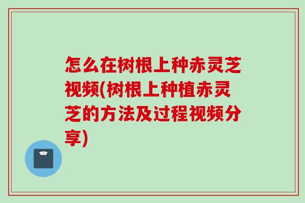 怎么在树根上种赤灵芝视频(树根上种植赤灵芝的方法及过程视频分享)
