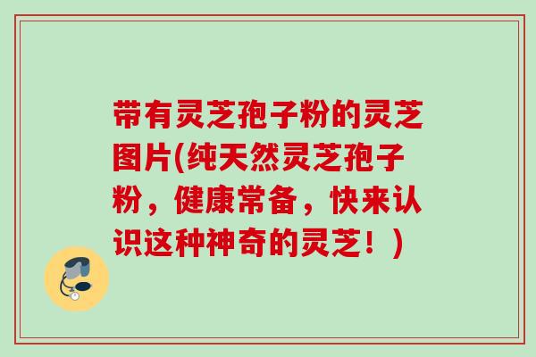 带有灵芝孢子粉的灵芝图片(纯天然灵芝孢子粉,健康常备,快来认识这种神奇的灵芝!) 带有灵芝孢子粉的灵芝图片(纯天然灵芝孢子粉,健康常备,快来认识这种神奇的灵芝!)