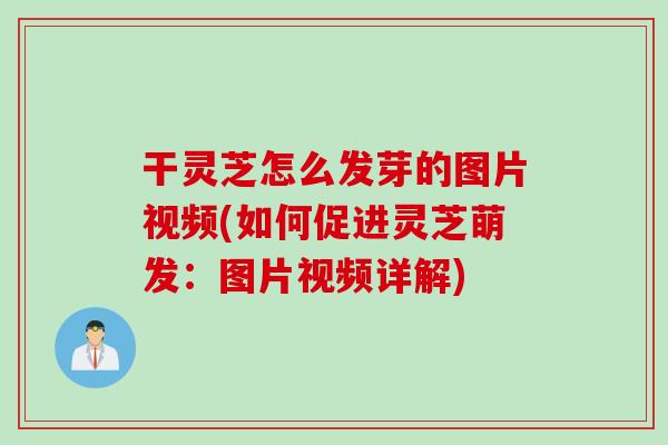 干灵芝怎么发芽的图片视频(如何促进灵芝萌发：图片视频详解)