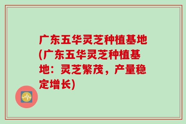 广东五华灵芝种植基地(广东五华灵芝种植基地：灵芝繁茂，产量稳定增长)
