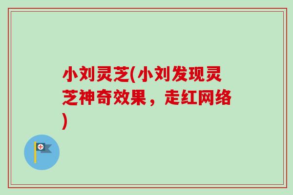 小刘灵芝(小刘发现灵芝神奇效果，走红网络)