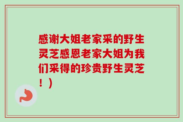 感谢大姐老家采的野生灵芝感恩老家大姐为我们采得的珍贵野生灵芝！)