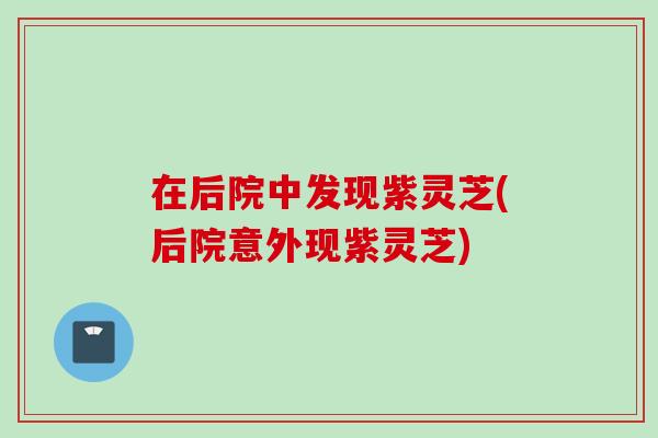 在后院中发现紫灵芝(后院意外现紫灵芝)
